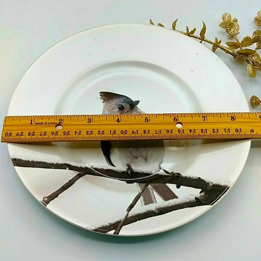 Pier 1, Snowy Tufted Titmouse on Branch. Salad Plate is 8.5” wide.